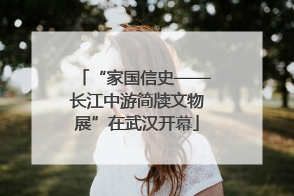“家国信史——长江中游简牍文物展”在武汉开幕